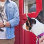 How to Improve Your Pet’s Adoption Experience with Confidence and Care