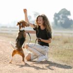 How to Teach Your Dog Basic Commands Quickly | Training Tips for Success
