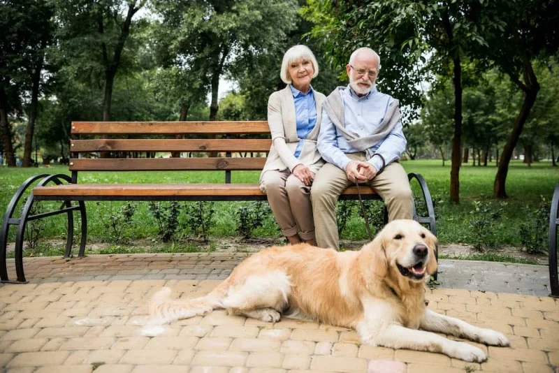 Pet Aging: What Vets Want You to Know About Caring for Older Pets