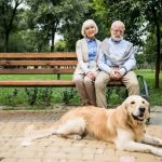 Pet Aging: What Vets Want You to Know About Caring for Older Pets
