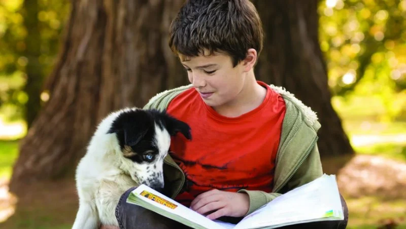 Expert Advice on Pet Fitness for American Families