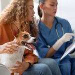 Benefits of Omega-3 Fatty Acids for Pets: Improve Health and Wellness
