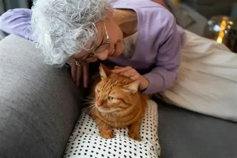 How to Keep Your Senior Cat Active and Engaged – Tips for Healthy Aging