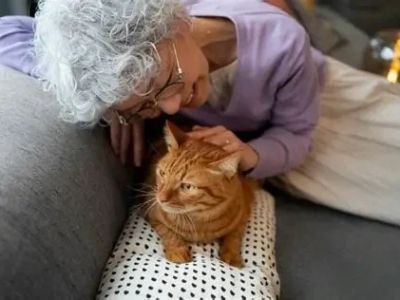 How to Keep Your Senior Cat Active and Engaged – Tips for Healthy Aging