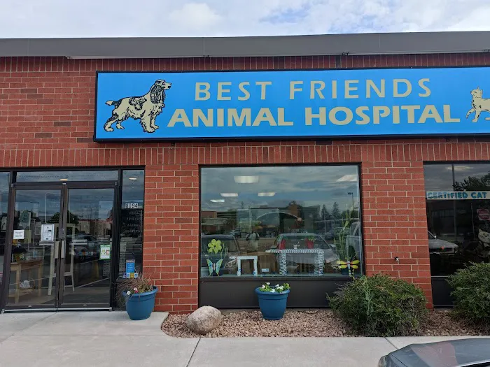 Best Friends Animal Hospital Picture 3