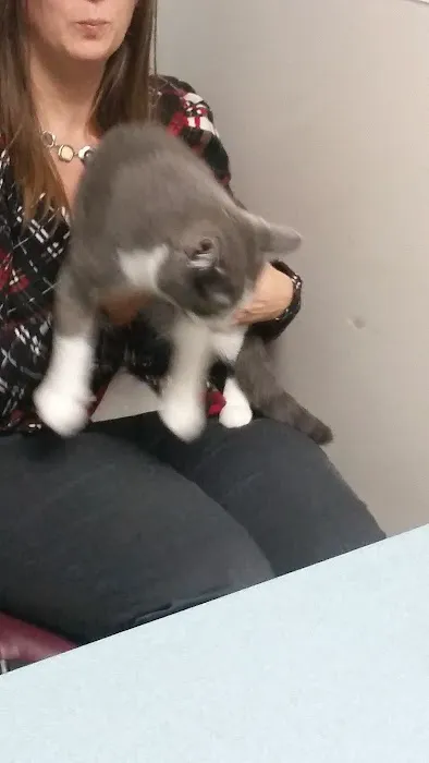 Best Friends Animal Hospital Picture 9