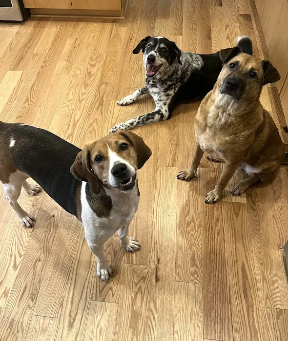 Best Friends Animal Hospital Picture 10