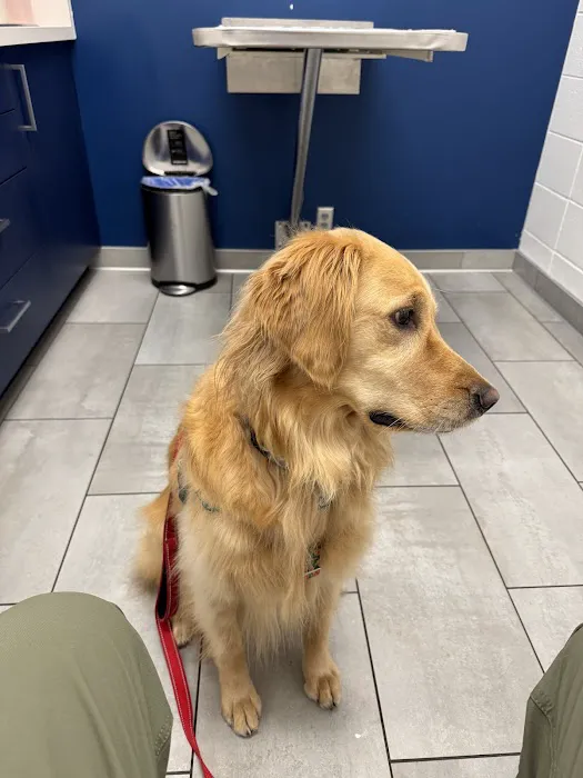 Southdale Pet Hospital Picture 2