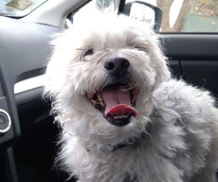 Southdale Pet Hospital