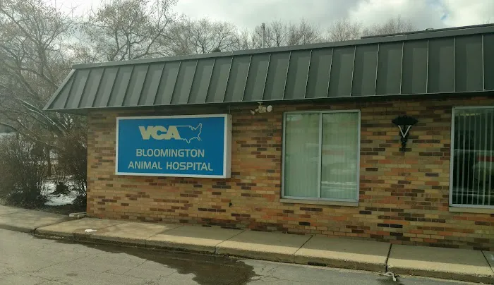 VCA Bloomington Animal Hospital Picture 10