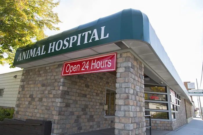 Como Park Animal Hospital and AfterHours Veterinary Care Picture 10