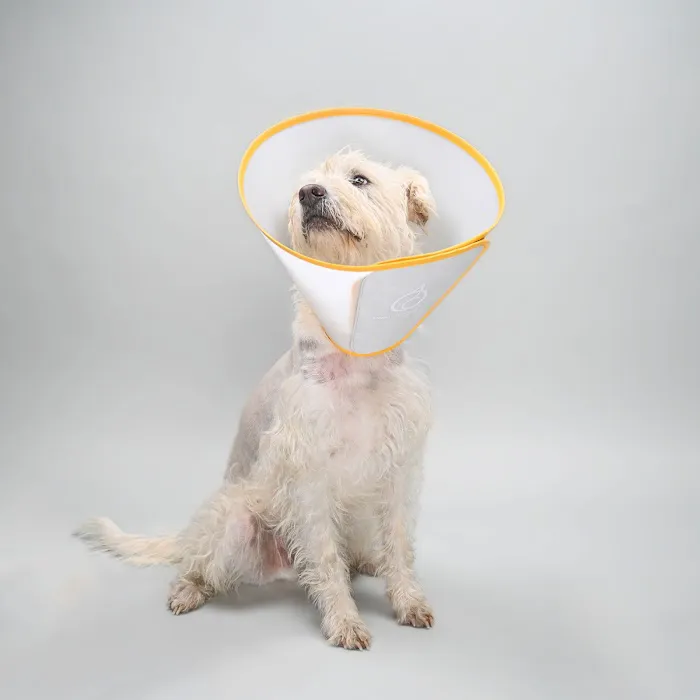 Animal Ortho Care Picture 1