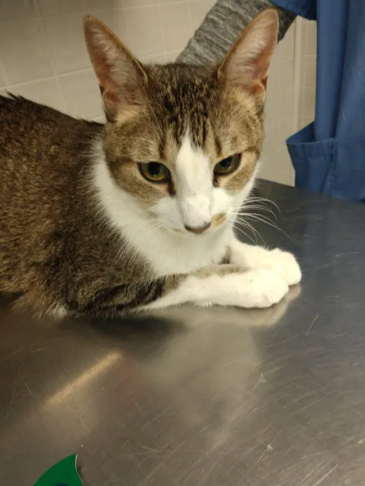 MARS Veterinary Services Picture 6