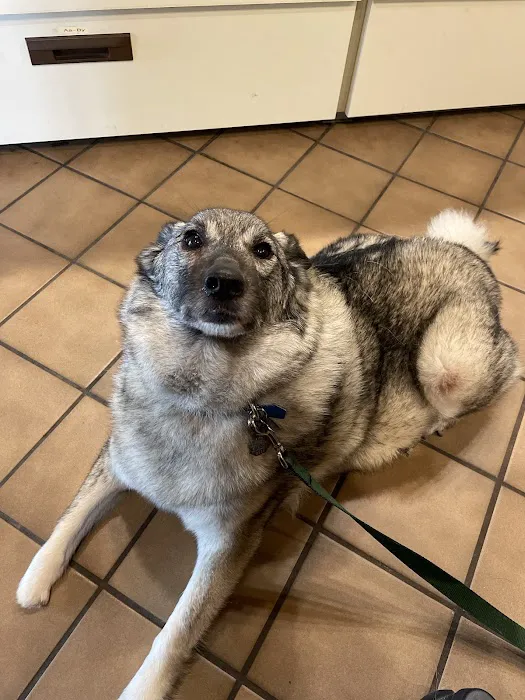 Minnesota Veterinary Hospital Picture 8