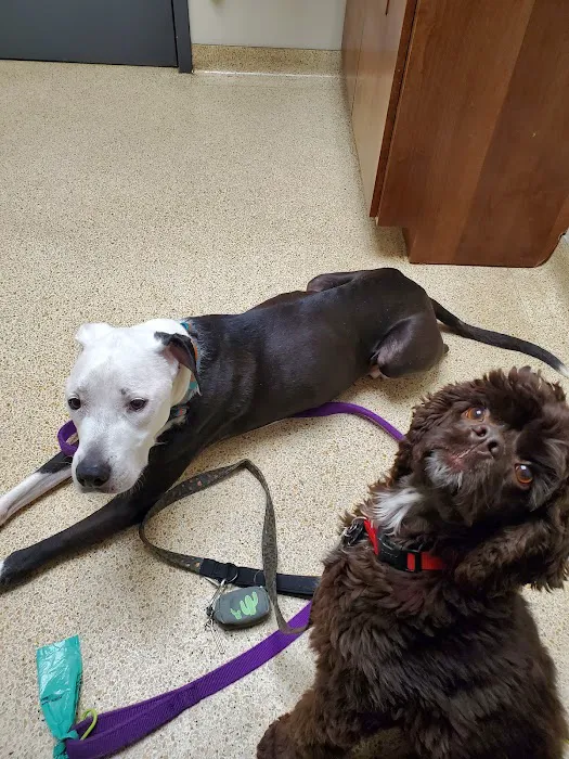 Minnesota Veterinary Hospital Picture 9