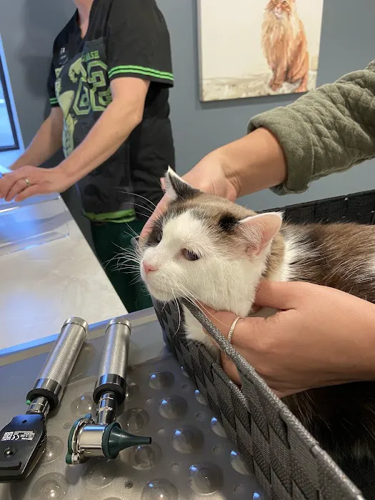 Rice Pet Clinic & Hospital Picture 9