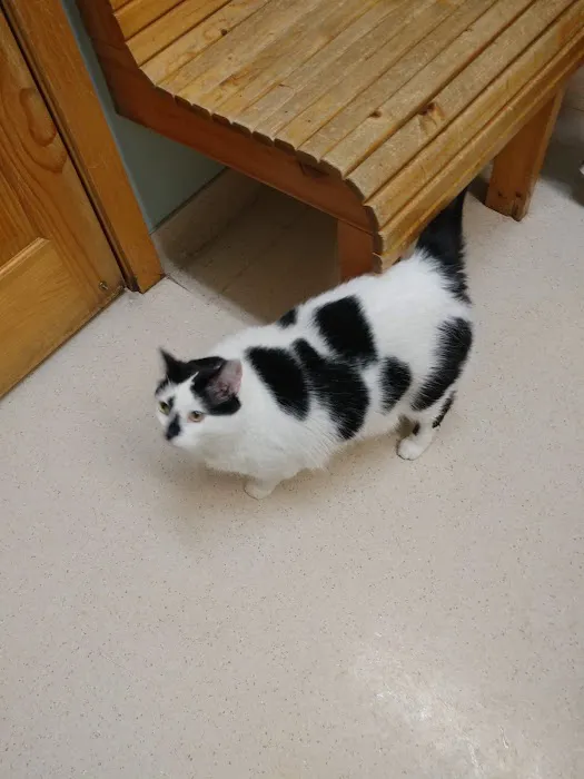 Kelley Animal Hospital Picture 5