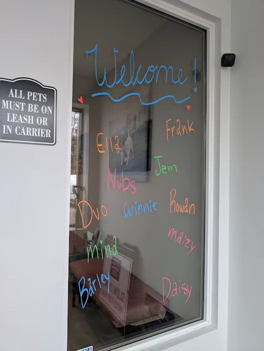 Twin Cities Animal Rehabilitation + Sports Medicine Clinic - North Picture 2