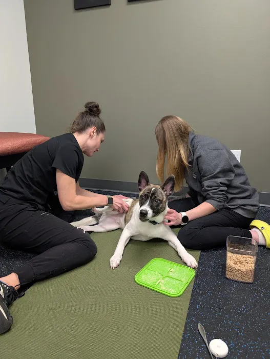 Twin Cities Animal Rehabilitation + Sports Medicine Clinic - North Picture 4