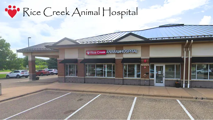 Rice Creek Animal Hospital Picture 3