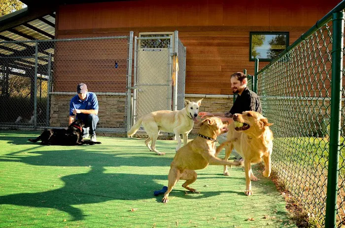 Plymouth Heights Pet Hospital Picture 7