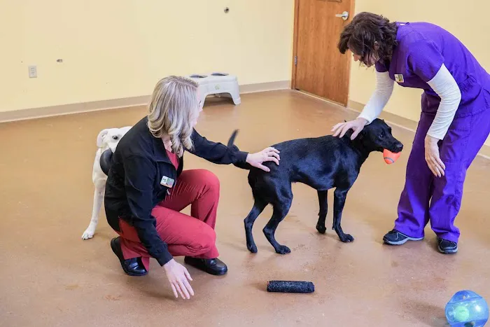 Plymouth Heights Pet Hospital Picture 6