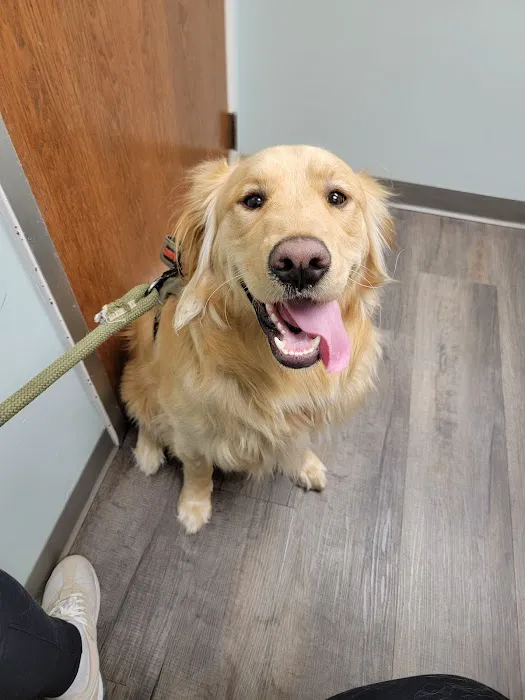 Bass Lake Pet Hospital Picture 3
