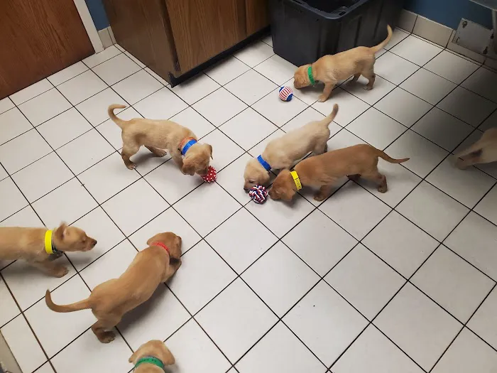 Bass Lake Pet Hospital Picture 1
