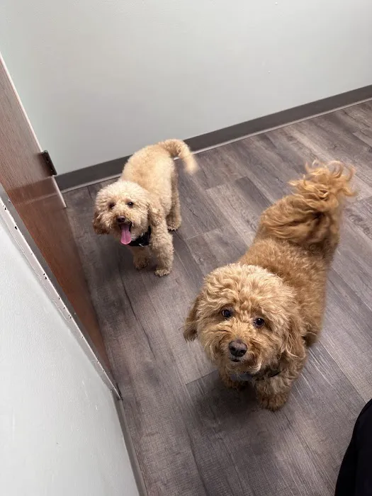 Bass Lake Pet Hospital Picture 10