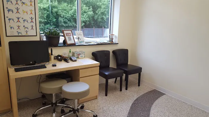 Pet Dermatology Clinic Picture 3