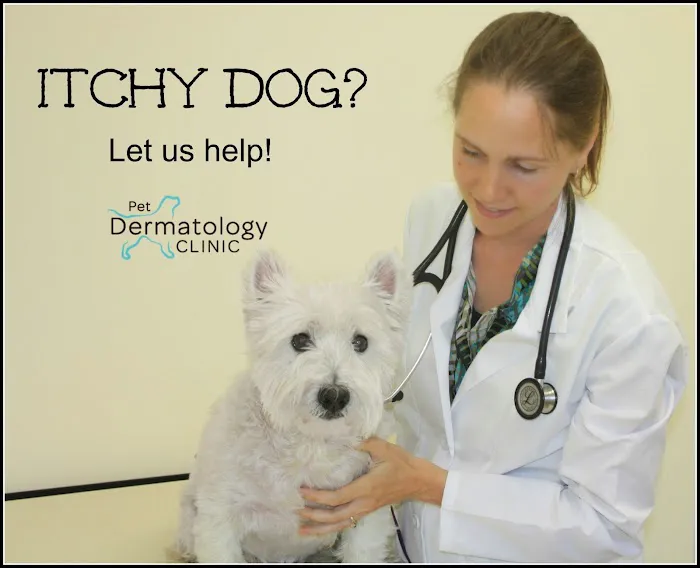 Pet Dermatology Clinic Picture 2