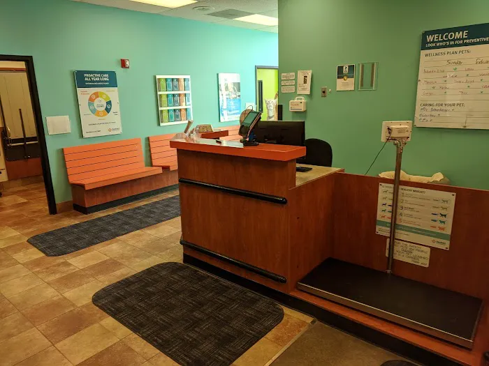 Banfield Pet Hospital Picture 1