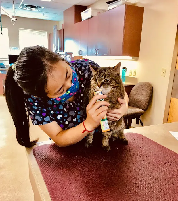 Edinburgh Pet Health Center Picture 4
