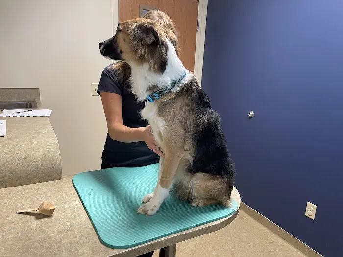 Edinburgh Pet Health Center Picture 6