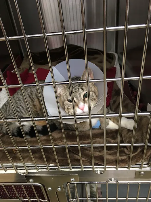 Edinburgh Pet Health Center Picture 10