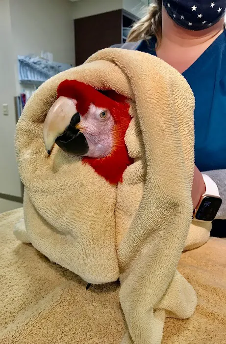 Edinburgh Pet Health Center Picture 9