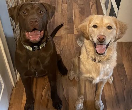 Brooklyn Park Pet Hospital