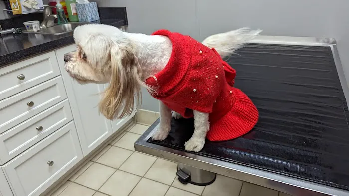 Brooklyn Park Pet Hospital Picture 5