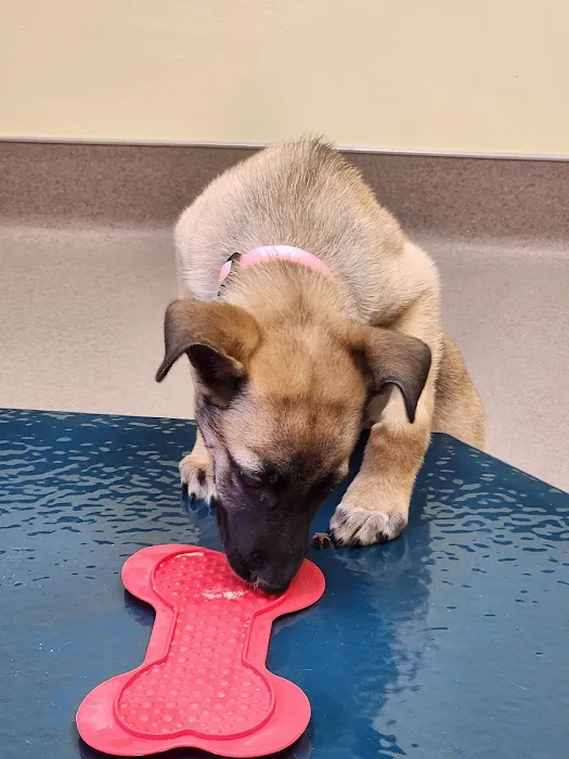 River Rapids Pet Hospital + Clinic Picture 10