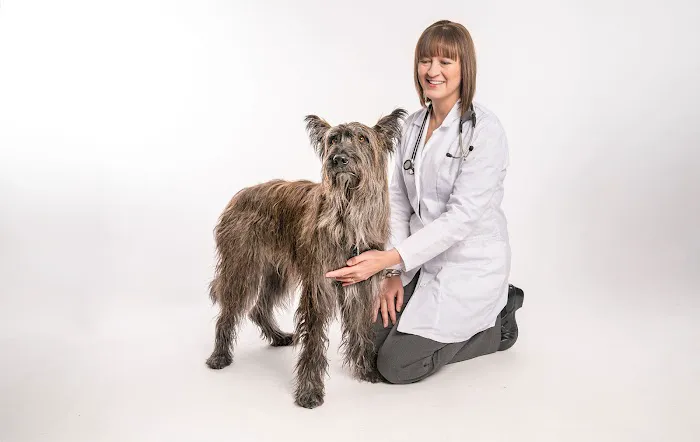 Haarstad Veterinary Dermatology Picture 2