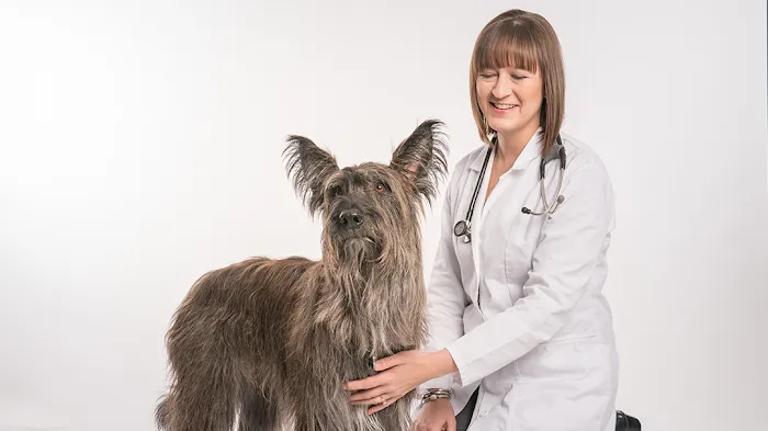 Haarstad Veterinary Dermatology Picture 1