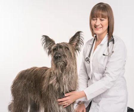 Haarstad Veterinary Dermatology