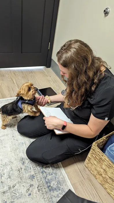 Haarstad Veterinary Dermatology Picture 6
