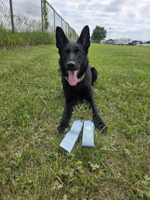 Haarstad Veterinary Dermatology Picture 9