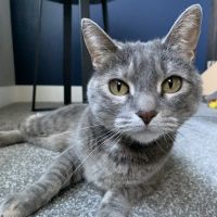 Blaine Family Veterinary Hospital ico