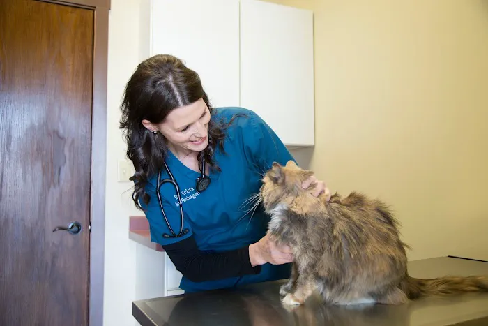 Blaine Family Veterinary Hospital Picture 4