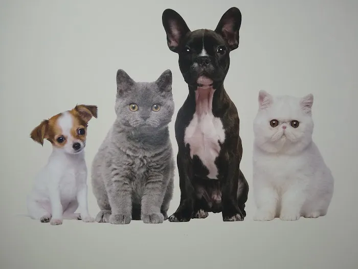 Blaine Central Veterinary Clinic Picture 1