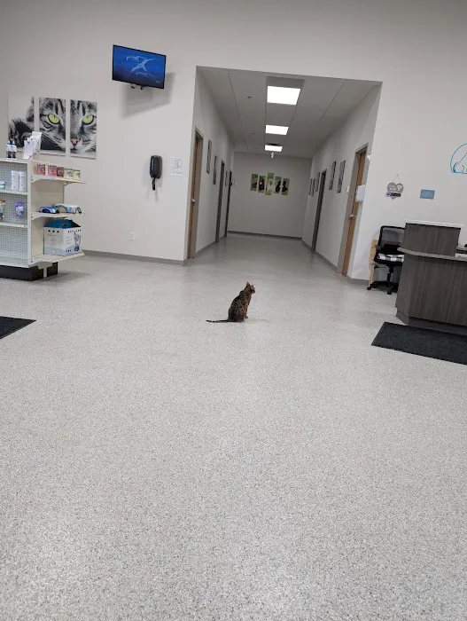 Blaine Central Veterinary Clinic Picture 8