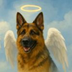 Coon Rapids Pet Hospital