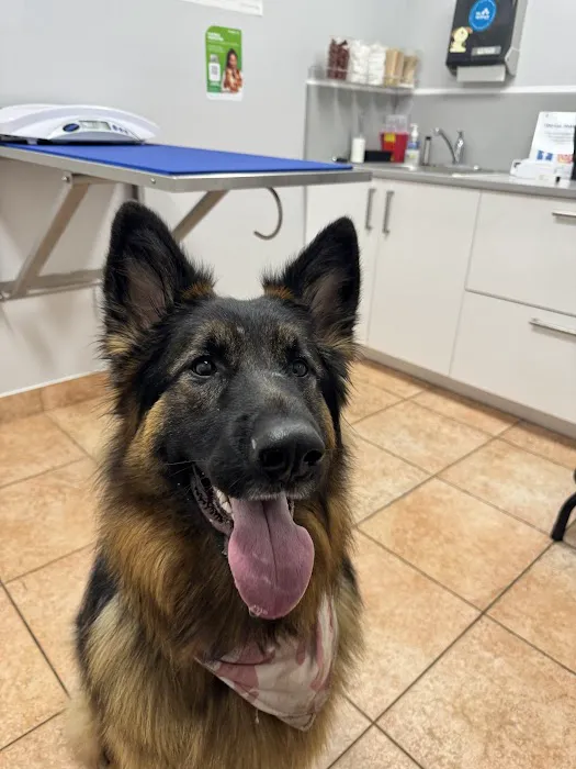 Mendakota Animal Hospital Picture 3